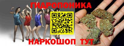apvp Пыть-Ях