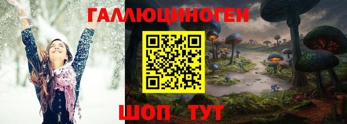 купить наркоту  Псилоцибиновые грибы Psilocybine cubensis  Вход с VPN  Тихорецк 